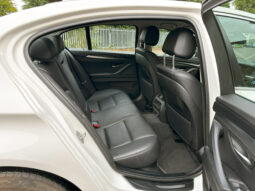 BMW 520d SE Saloon Diesel Auto (Euro 6) full